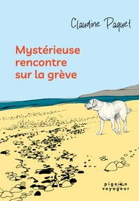 MYSTERIEUSE RENCONTRE SUR LA GREVE