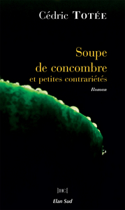 Soupe de Concombre et petites contrariétés