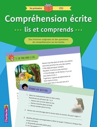 COMPREHENSION ECRITE LIS ET COMPRENDS 3E PRIMAIRE CE2 (VERT) - DES HISTOIRES ORIGINALES ET DES QUEST