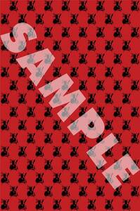 HAL LEONARD WRAPPING PAPER - DRUMSET THEME ACCESSOIRE