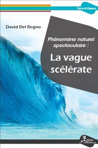 PHENOMENE NATUREL SPECTACULAIRE : LA VAGUE SCELERATE