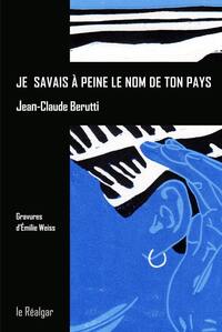 Je Savais A Peine Le Nom De Ton Pays - Roman