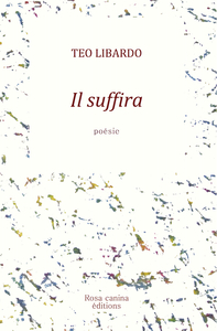 Il suffira