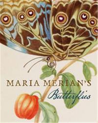 Maria Merian's Butterflies /anglais