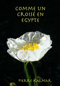 COMME UN CROISE EN EGYPTE