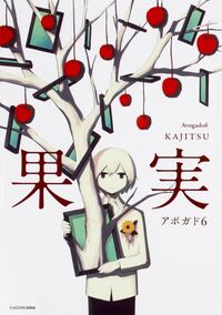 FRUIT (ARTBOOK VO JAPONAIS)