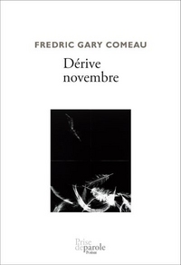 DERIVE NOVEMBRE