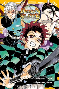 DEMON SLAYER - ROMAN JEUNESSE T04