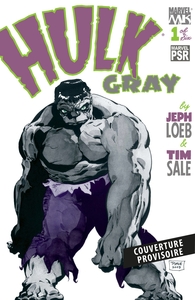 Hulk : Gris - Edition définitive