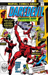 Daredevil : L'intégrale 1976-1977 (T12)