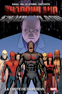 Shadowland : La chute de Daredevil (Nouvelle édition)