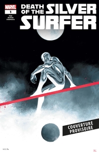 Death of the Silver Surfer