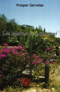 Les raisons de mon coeur