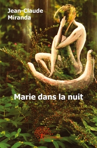 Marie dans la nuit