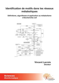 Identification de motifs dans les réseaux métaboliques - définitions, algorithmes, et application au métabolisme d'Escherichia coli