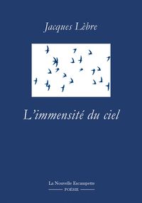 L' IMMENSITE DU CIEL