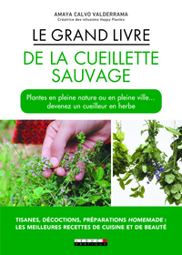 Le grand livre de la cueillette sauvage