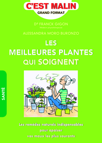 Les meilleures plantes qui soignent, c'est malin