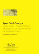 Lyon, Saint-Georges - archéologie, environnement et histoire d'un espace fluvial en bord de Saône
