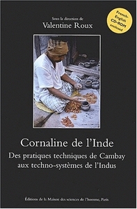 CORNALINE DE L'INDE. DES PRATIQUES TECHNIQUES DE CAMBAY AUX TECHNO-SY STEMES DE L'INDUS