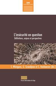 L'INSECURITE EN QUESTION : DEFINITIONS, ENJEUX ET PERSPECTIVES