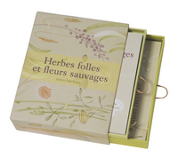 Herbes folles et fleurs sauvages