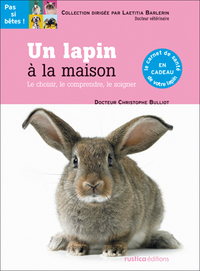 UN LAPIN A LA MAISON