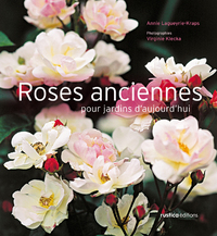 LES ROSES ANCIENNES POUR JARDINS D'AUJOURD'HUI