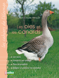 LES OIES ET LES CANARDS