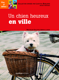 Un chien heureux en ville