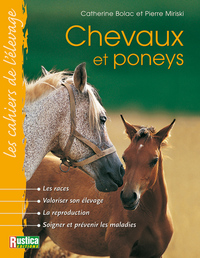 Chevaux et poneys