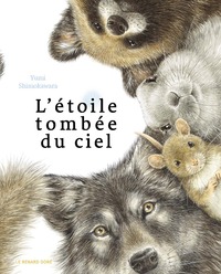 L'étoile tombée du ciel