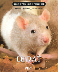 Le rat