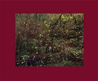 JEN SOUTHAM PAINTER POOL /ANGLAIS