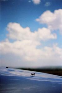 TERRI WEIFENBACH ONE PICTURE BOOK 67 SOME INSECTS /ANGLAIS