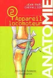 Anatomie