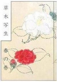 A JAPANESE BOTANIST'S 17TH CENTURY SKETCHBOOK: SPRING FLOWERS /JAPONAIS