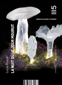 La nuit où le jour mourut