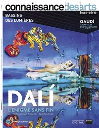 DALI L'ENIGME SANS FIN