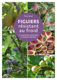 FIGUIERS RESISTANT AU FROID - 45 VARIETES ADAPTEES A CHAQUE REGION