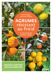 Agrumes résistant au froid