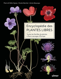ENCYCLOPEDIE DES PLANTES LIBRES - TOUTES LES FAMILLES DE PLANTES A FLEURS SAUVAGES D'EUROPE