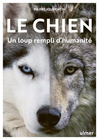 LE CHIEN, UN LOUP REMPLI D'HUMANITE