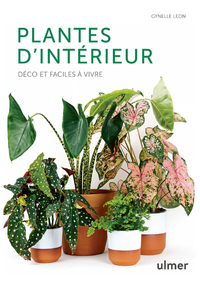 PLANTES D'INTERIEUR - DECO ET FACILES A VIVRE