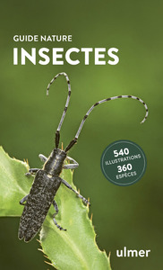 INSECTES