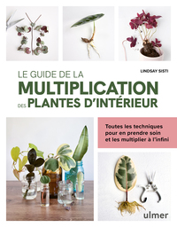 Le guide de la multiplication des plantes d'intérieur - Toutes les techniques pour en prendre soin et les multiplier à l'infini