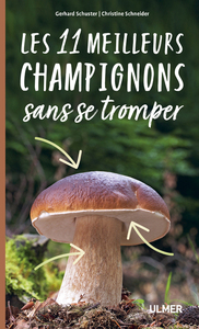 Les 11 meilleurs champignons sans se tromper