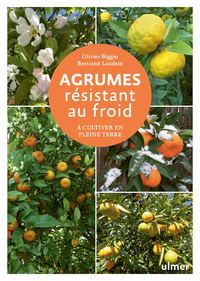 AGRUMES RESISTANT AU FROID - A CULTIVER EN PLEINE TERRE