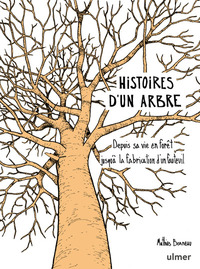 HISTOIRES D'UN ARBRE - DEPUIS SA VIE EN FORET JUSQU'A LA FABRICATION D'UN FAUTEUIL