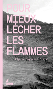Pour mieux lécher les flammes